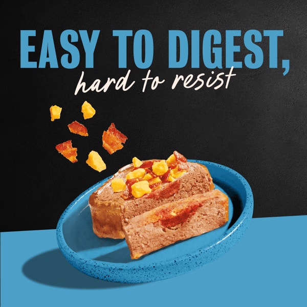 Rotisserie Chicken & Filet Mignon Flavor 12ct Multipack image 4