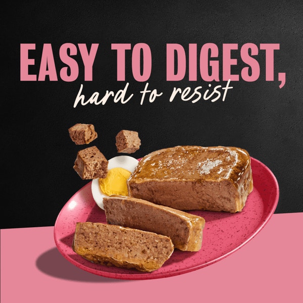 Breakfast 12ct Multipack image 4