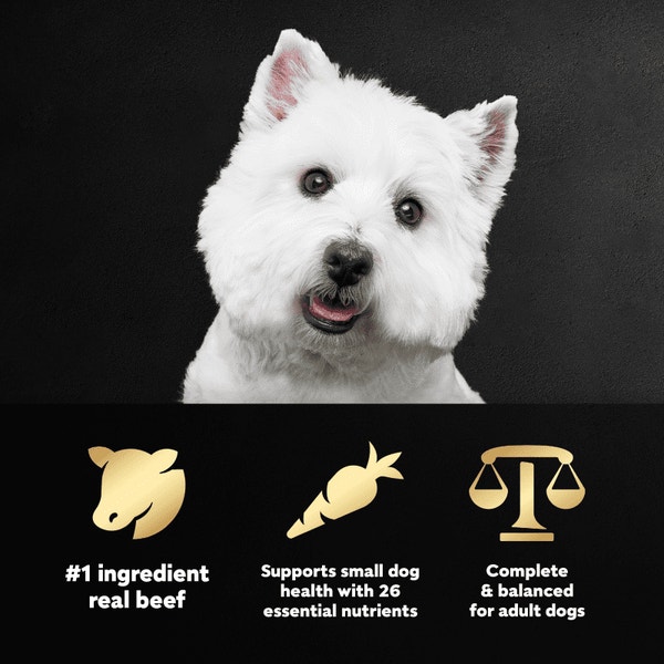 Porterhouse Flavor & Spring Vegetables