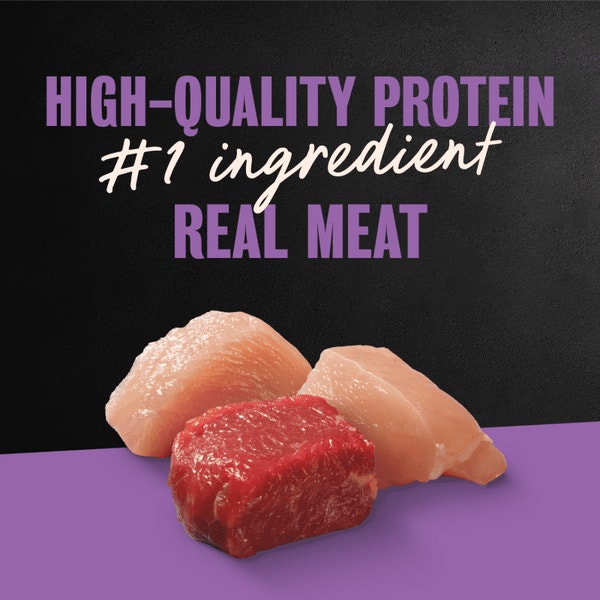 Poultry, Steak & Beef Varieties 36ct Multipack image 2