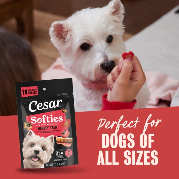 Cesar Softies Chewy Soft Dog Treats Medley Trio image 2