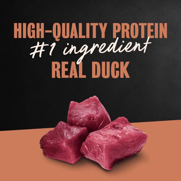 Classic Loaf in Sauce Duck image 2