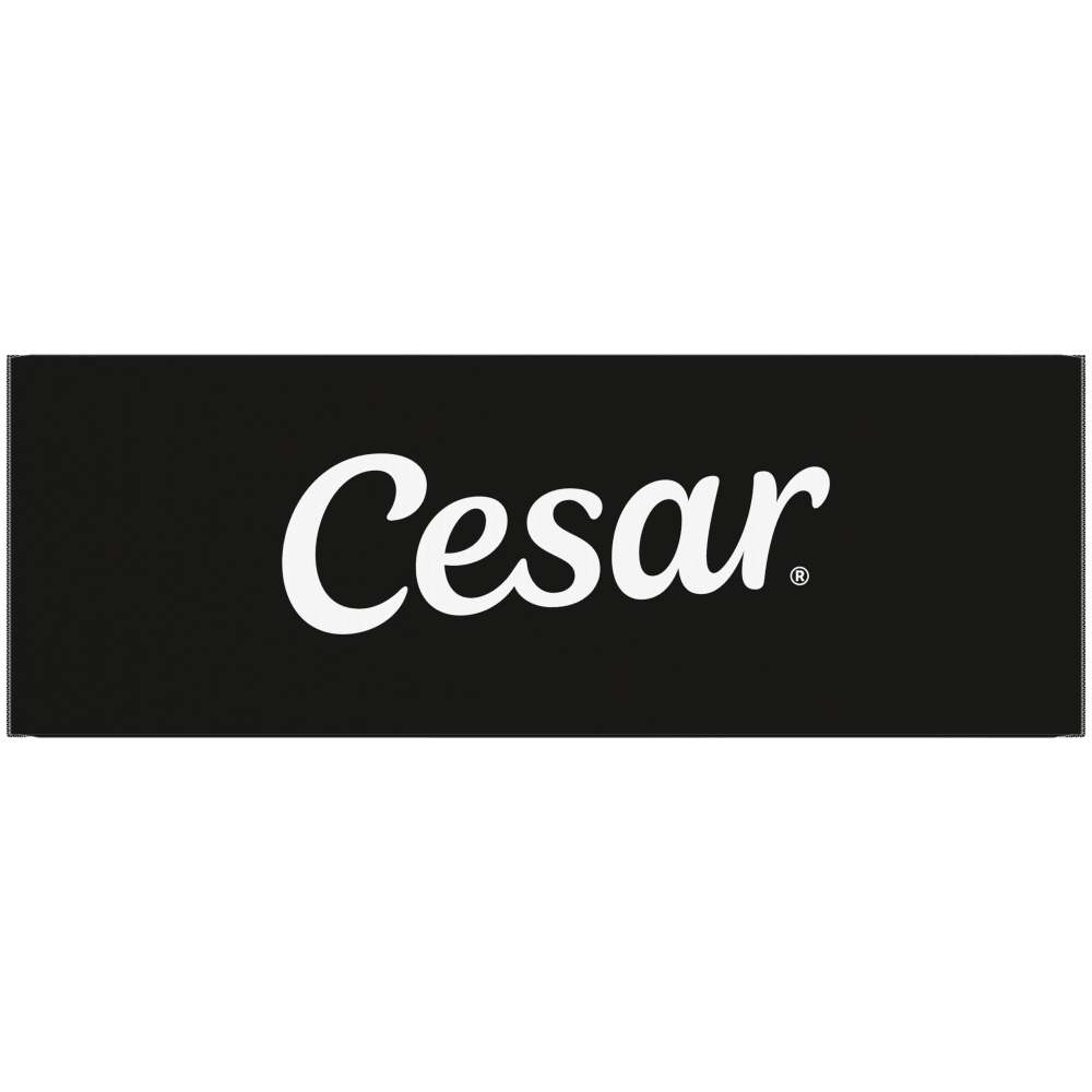 Cesar Filets in Gravy Adult Wet Dog Food Variety Pack Easy Peel Trays 60 Count image 1
