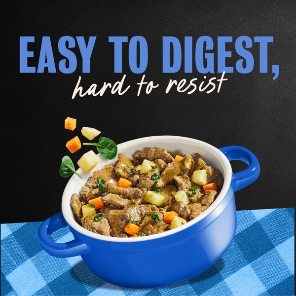 Pot Roast, Beef Stew, Turkey & Chicken Noodle Dinner Varieties 24ct Multipack image 4