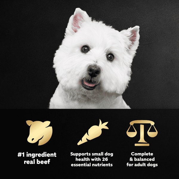 Filet Mignon Flavor & Spring Vegetables image 5