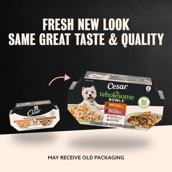 Wholesome Bowls Wet Dog Food, Recipe Variety Pack image 5