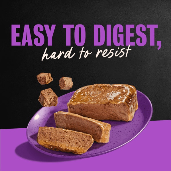 Dry-Aged Ribeye and Filet Mignon Flavors 12ct Multipack image 4