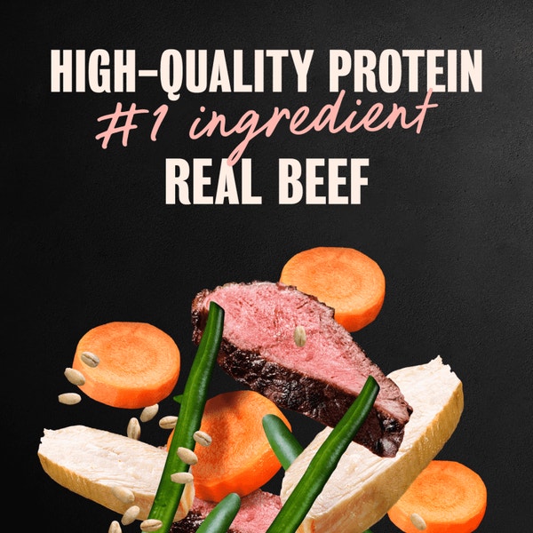 Wholesome Meals Wet Dog Food, Beef & Chicken with Vegetables image 2