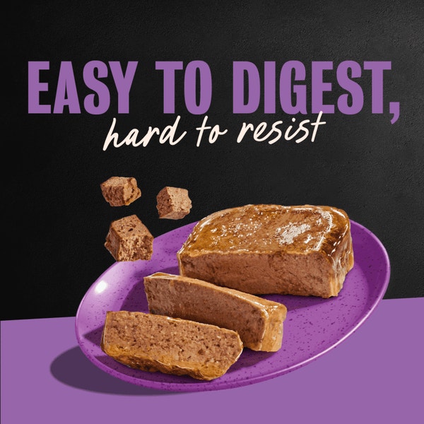 Beef, Steak & Chicken Flavor Varieties 24ct Multipack image 4