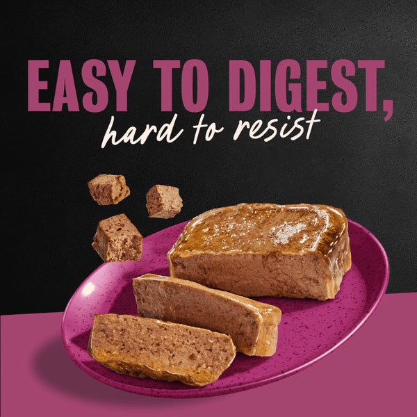 Steak Lover's 24 ct Multipack image 4