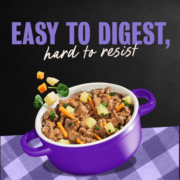 Home Delights™ Grilled Ribeye Steak  with Vegetables in Sauce image 4