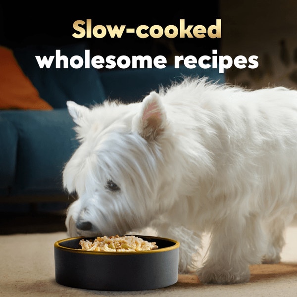 Wholesome Bowls™ Chicken, Carrots, Barley & Green Beans image 4