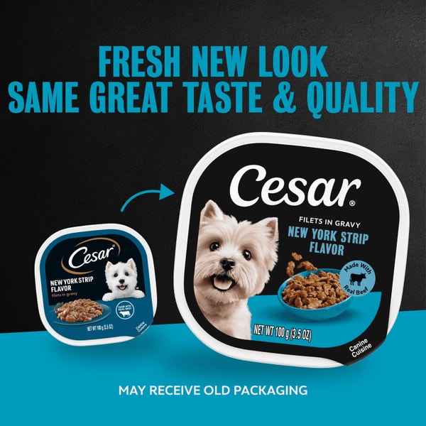 Filets in Gravy New York Strip image 5