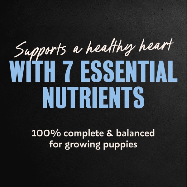 Cesar Puppy Chicken & Beef and Chicken Variety Pack Wet Dog Food, 3.5 oz Easy Peel Tray, 12 Ct. image 4