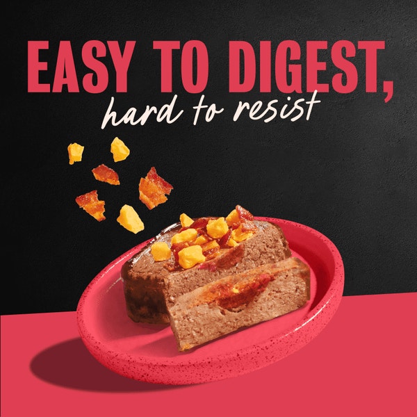 Chicken, Steak, Beef & Ham Flavor Varieties 24ct Multipack image 4