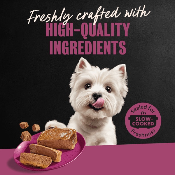 Steak Lover's 24 ct Multipack image 5