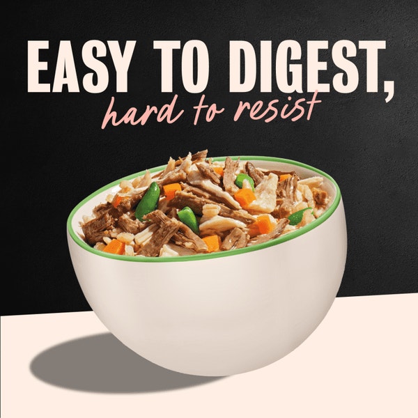 Wholesome Bowls Wet Dog Food, Chicken & Beef Variety Pack image 4