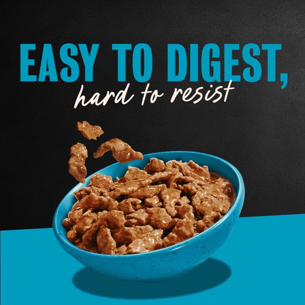 Filets in Gravy New York Strip image 4