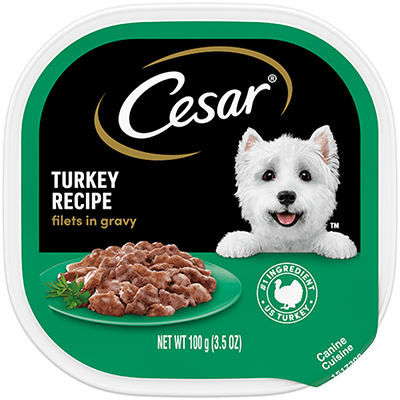 Cesar wet dog food product packaging: turkey filet gravy