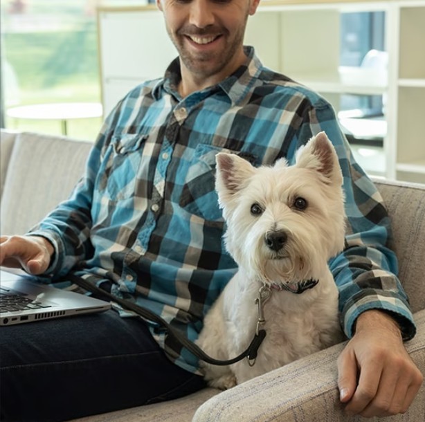 Small dog sitting next to his owner on the couch 