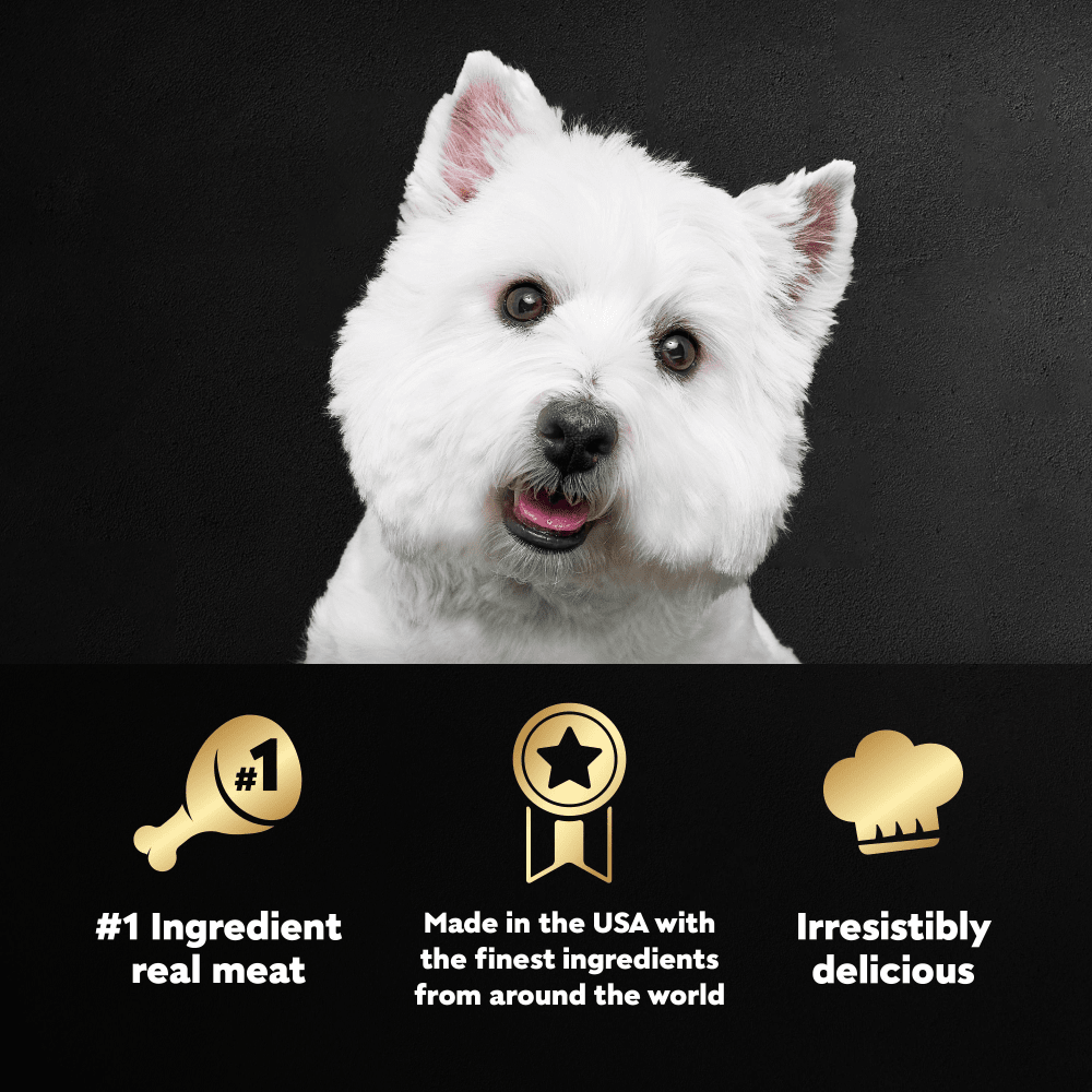 Small dog above a list of the benefits of CESAR® Canine Cuisine