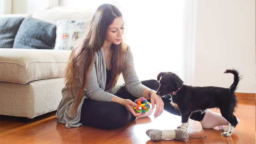 woman playing with her dog