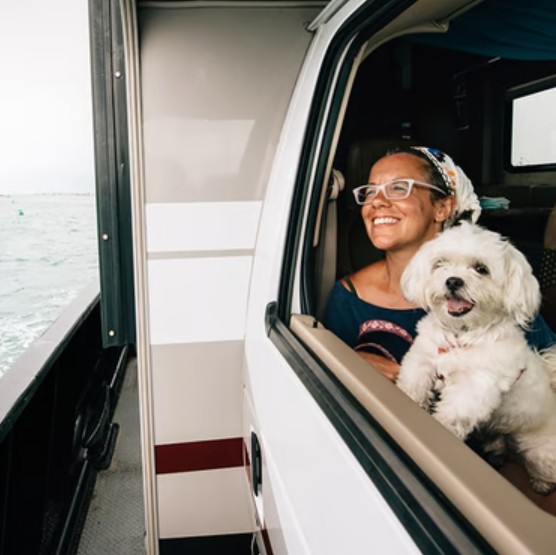 Cute westie going on a trip 