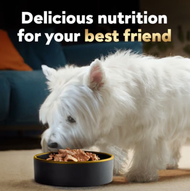 Dog enjoying delicious, high-quality CESAR® Canine Cuisine