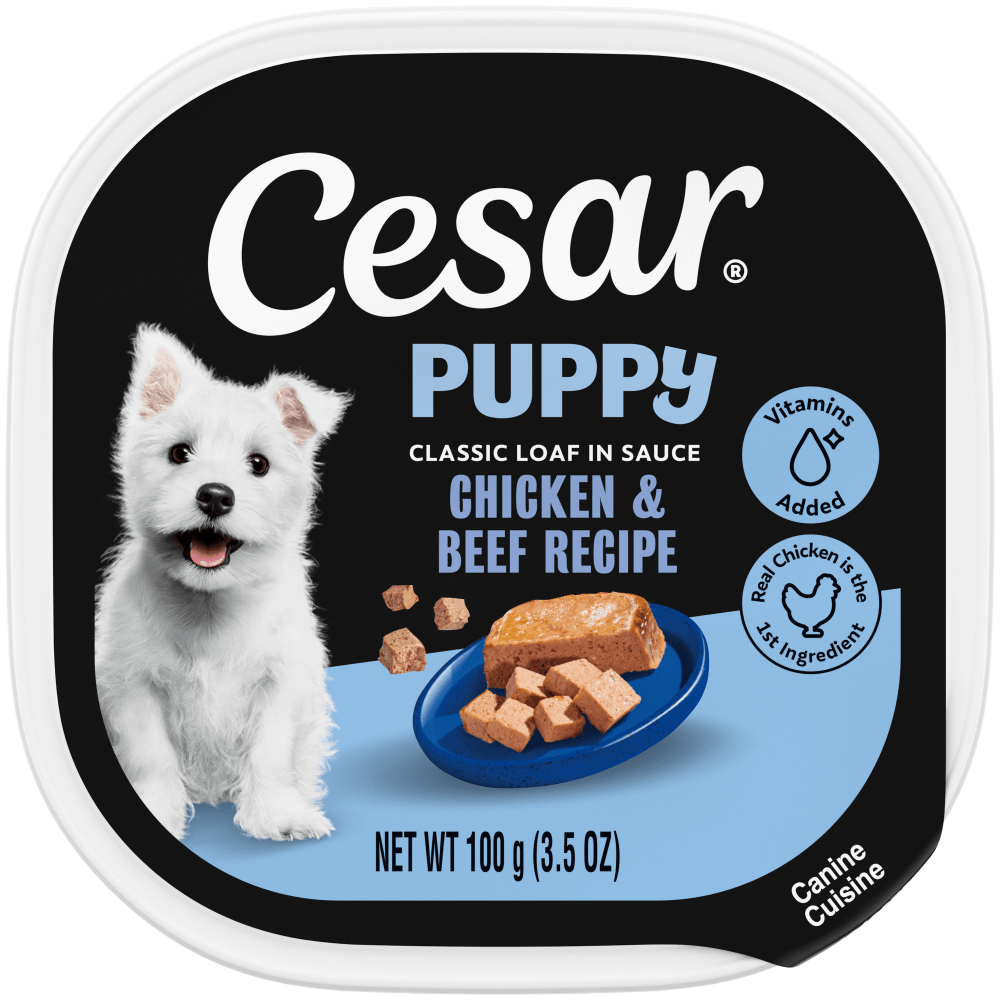 Westie puppy with a bowl of CESAR® wet food