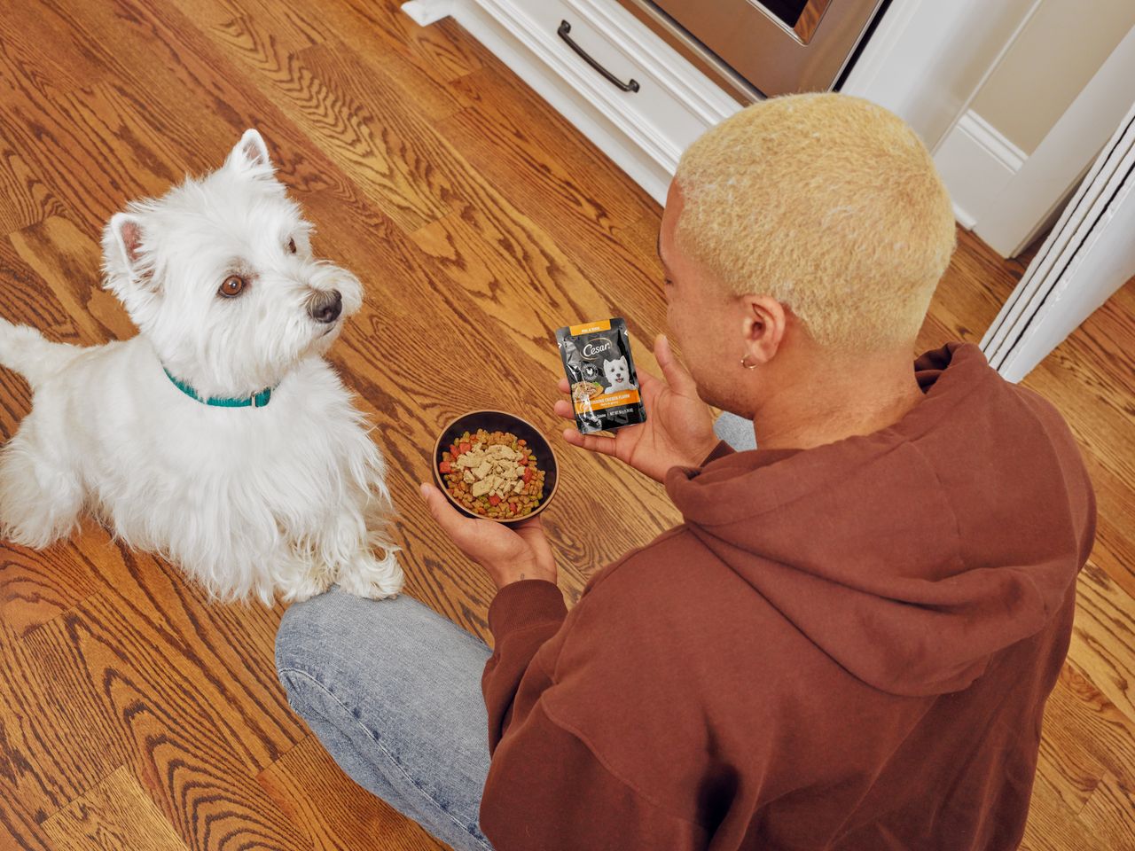 Man holding a bowl of dog food and a CESAR® Mini Pouch while a Westie looks on