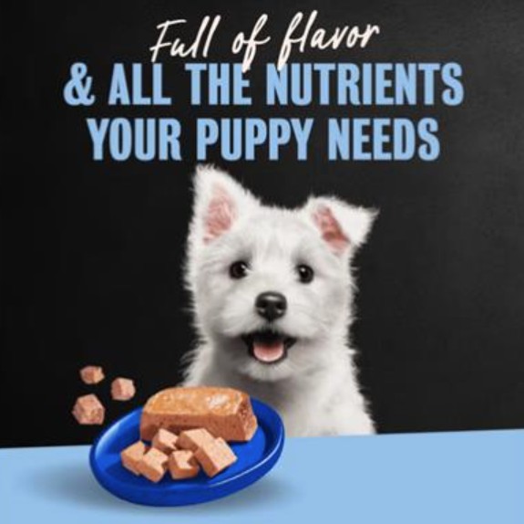 Westie puppy with a bowl of CESAR® wet food
