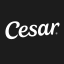 www.cesar.com