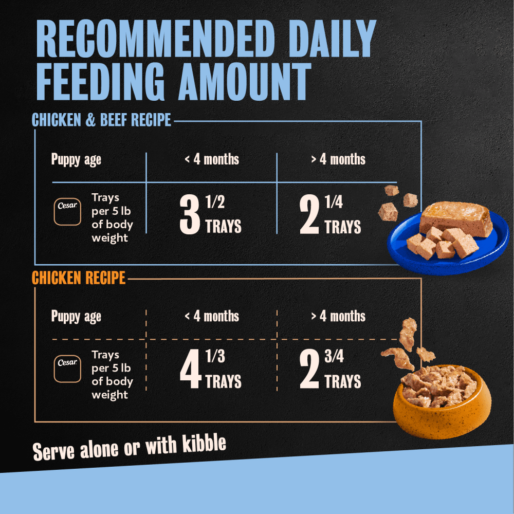Cesar Puppy Chicken & Beef and Chicken Variety Pack Wet Dog Food, 3.5 oz Easy Peel Tray, 12 Ct. feeding guidelines image