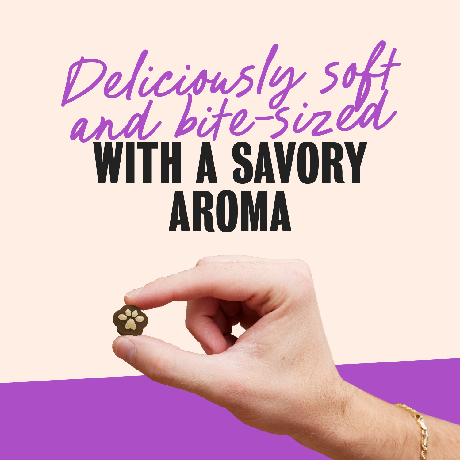 Cesar Softies Chewy Soft Dog Treats Filet Mignon guaranteed analysis image