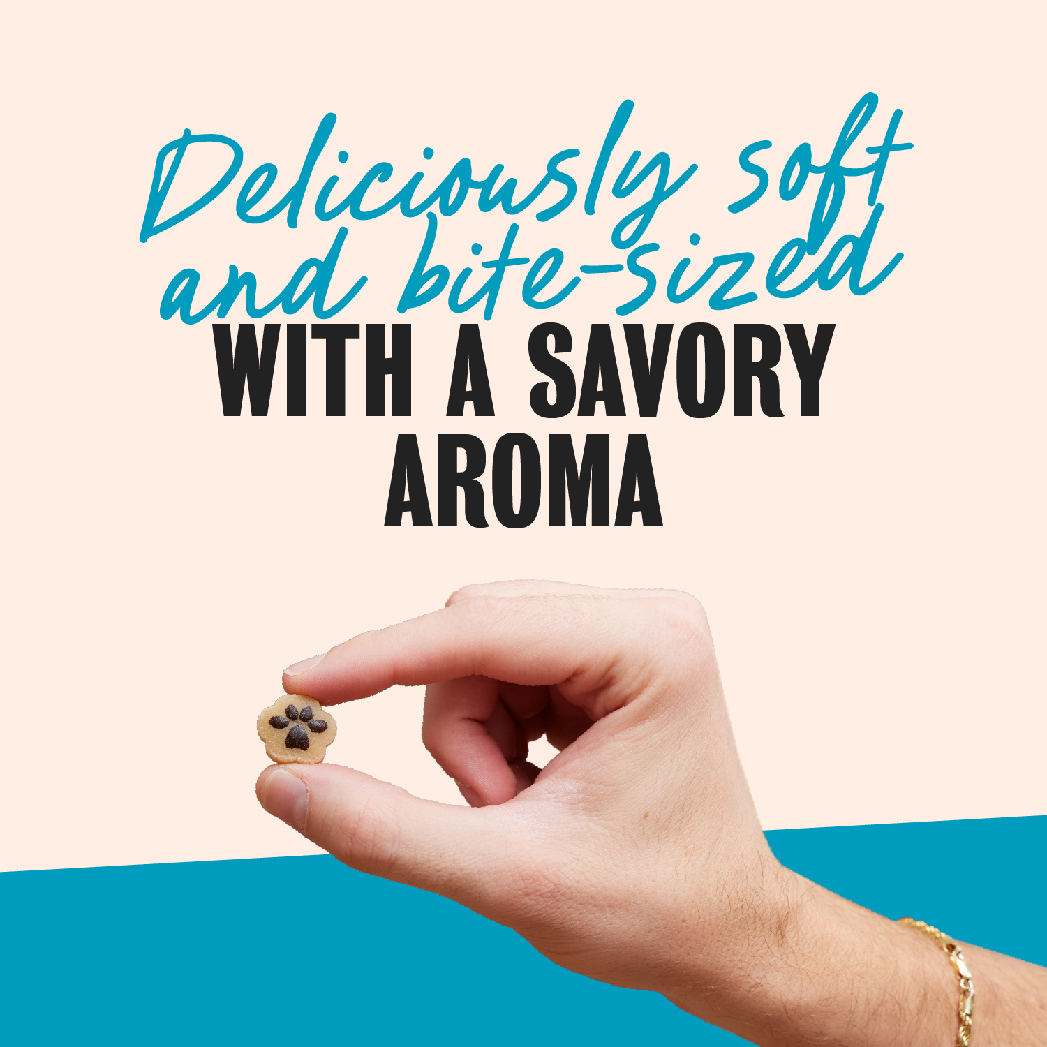 Cesar Softies Grilled Chicken Flavor Chewy Soft Dog Treats guaranteed analysis image