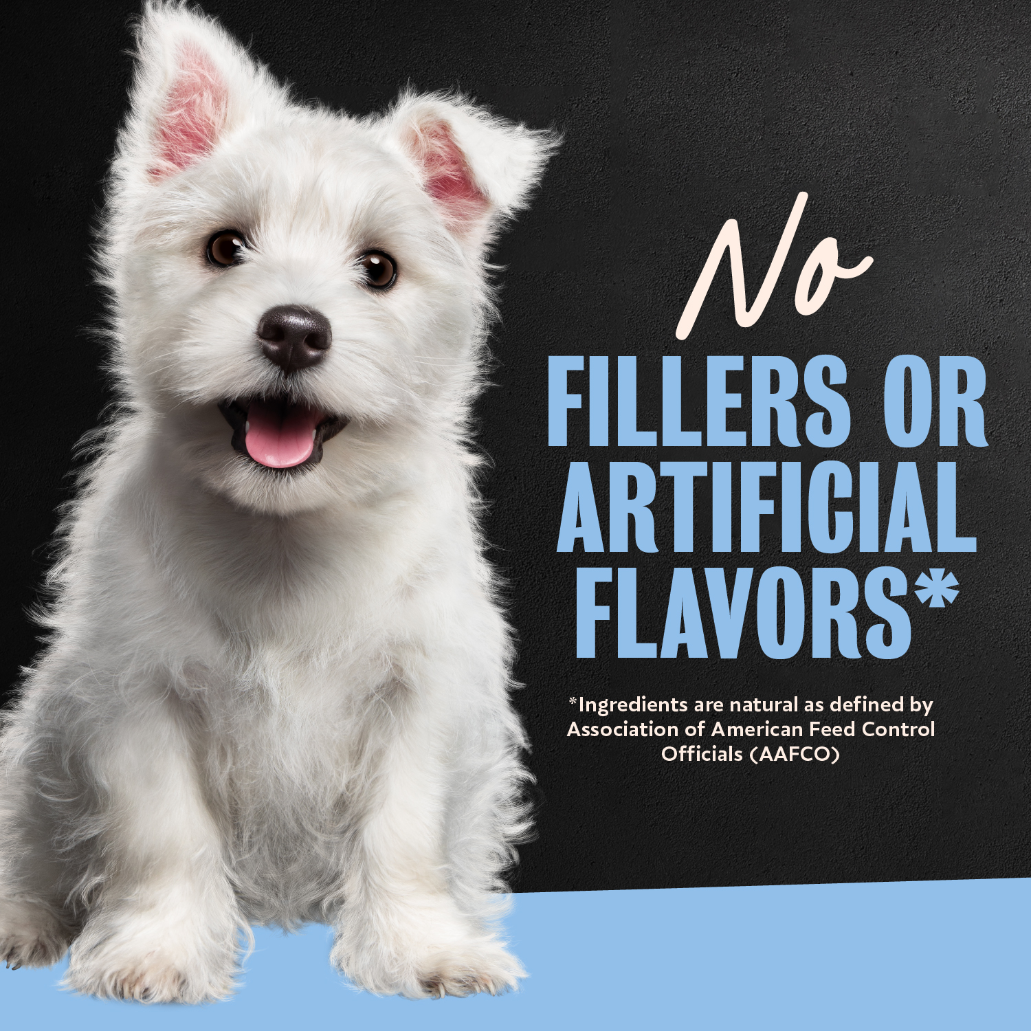 Cesar Puppy Filets in Gravy Chicken Recipe Wet Dog Food, 3.5 oz Easy Peel Tray guaranteed analysis image