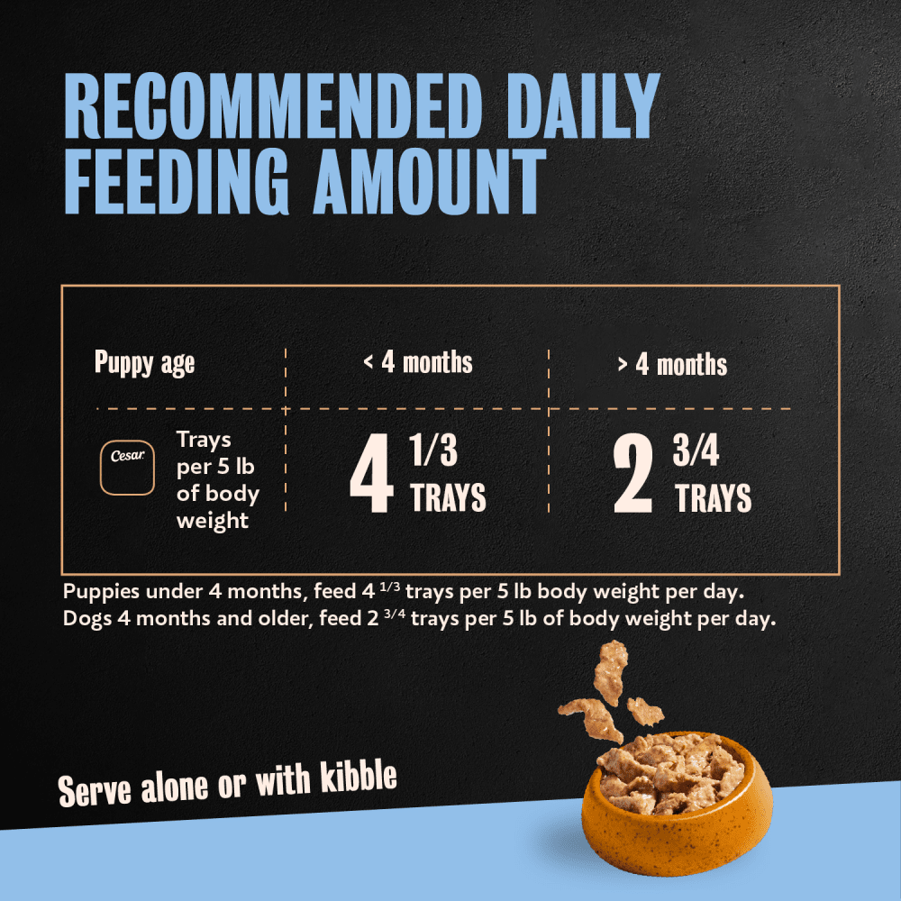 Cesar Puppy Filets in Gravy Chicken Recipe Wet Dog Food, 3.5 oz Easy Peel Tray feeding guidelines image