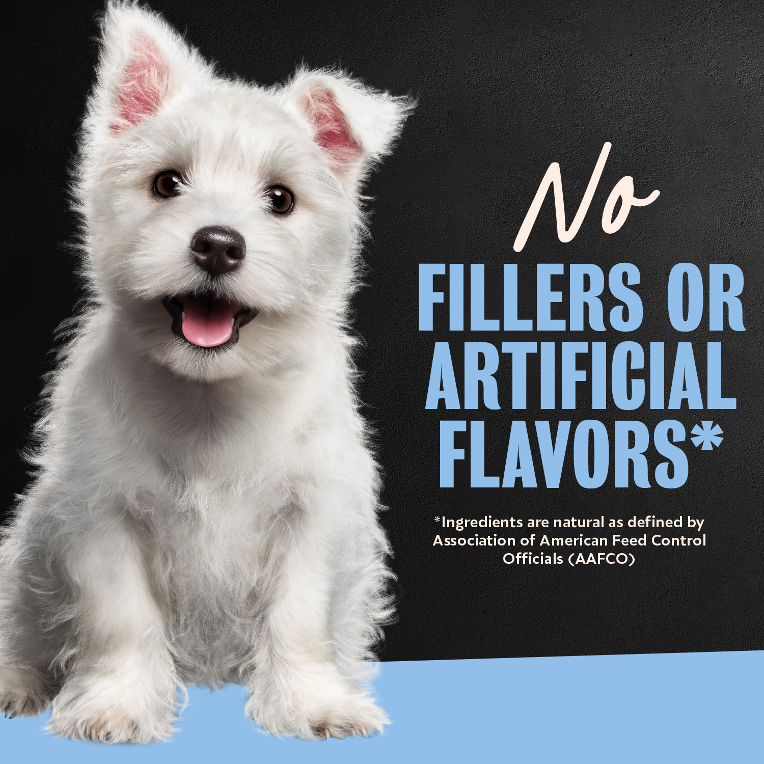 Cesar Puppy Chicken & Beef and Chicken Variety Pack Wet Dog Food, 3.5 oz Easy Peel Tray, 12 Ct. guaranteed analysis image