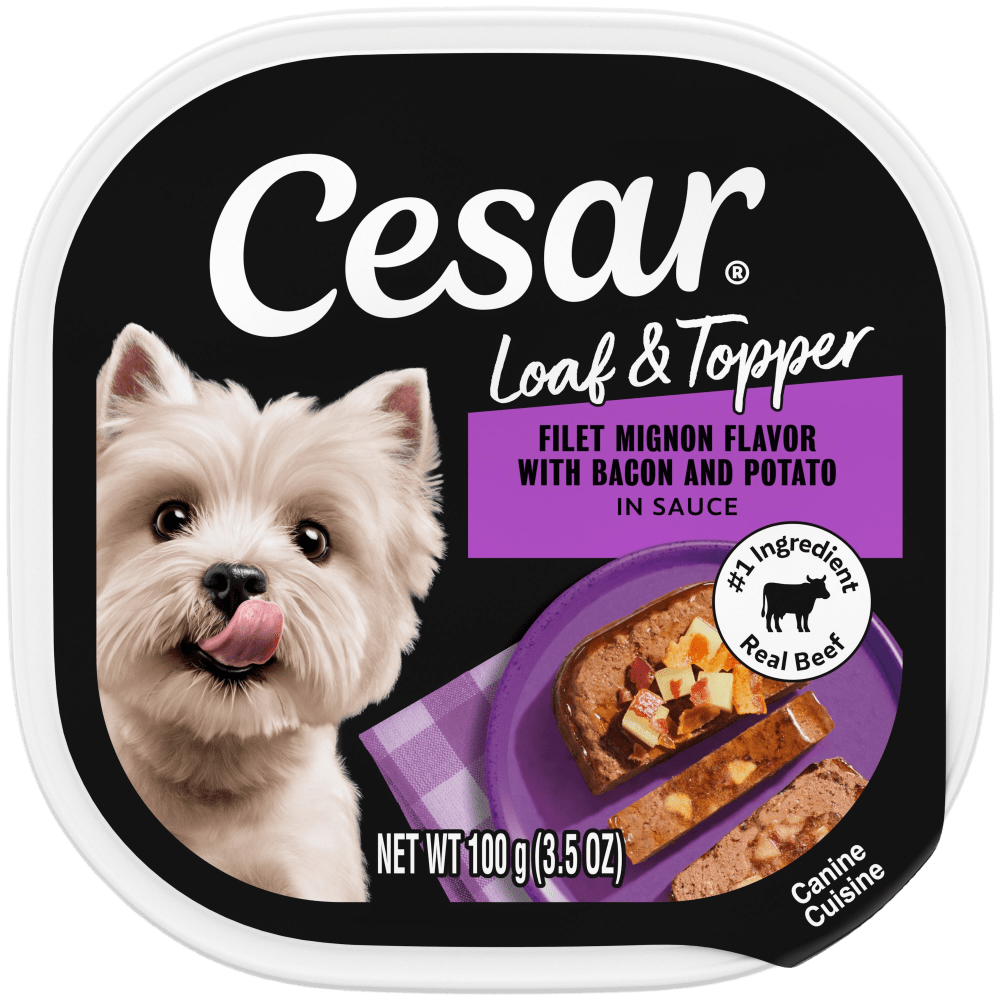 Filet Mignon Flavor With Bacon & Potato Wet Dog Food | CESAR®