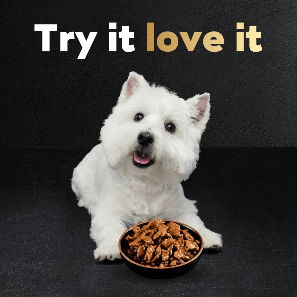 Filets in Gravy Wet Dog Food Mini-Pouch, Filet Mignon & Chicken feeding guidelines image 1
