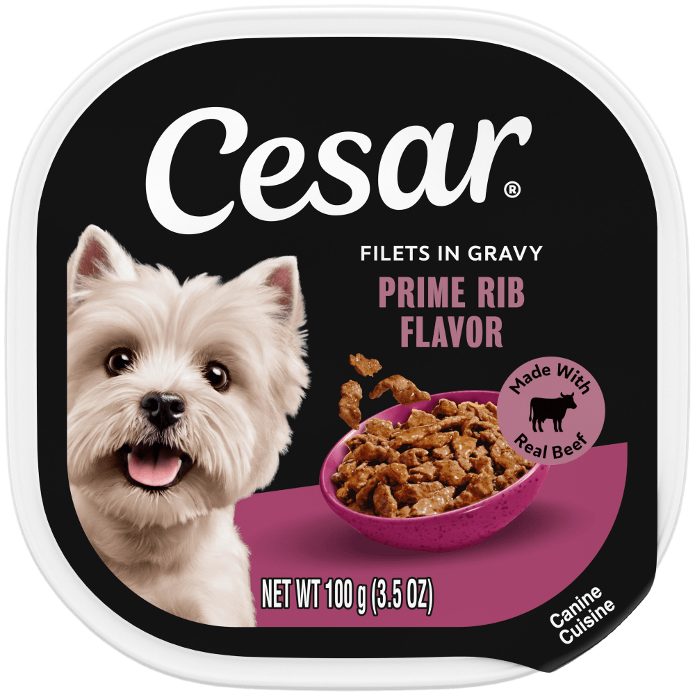 Filets in Gravy Prime Rib Wet Dog Food | CESAR®