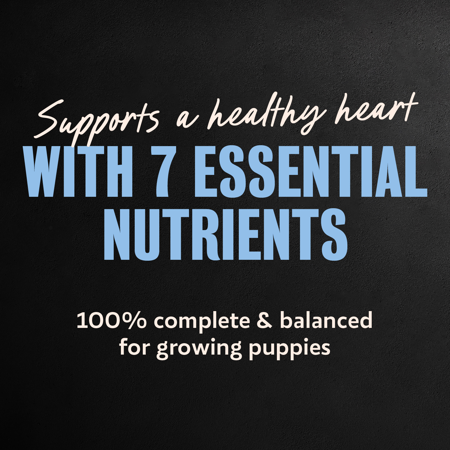 Classic Loaf in Sauce Puppy - Chicken & Beef guaranteed analysis image