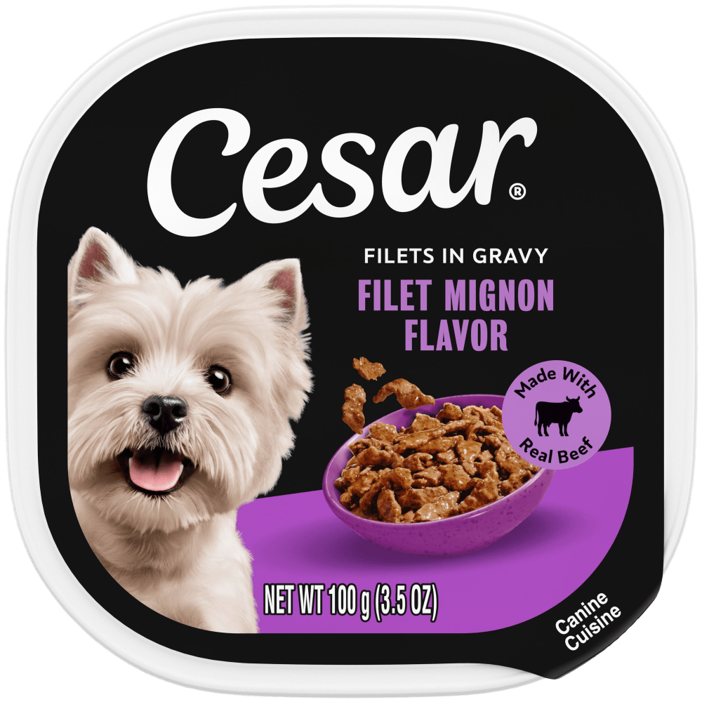 Filets in Gravy Filet Mignon Dog Food | CESAR