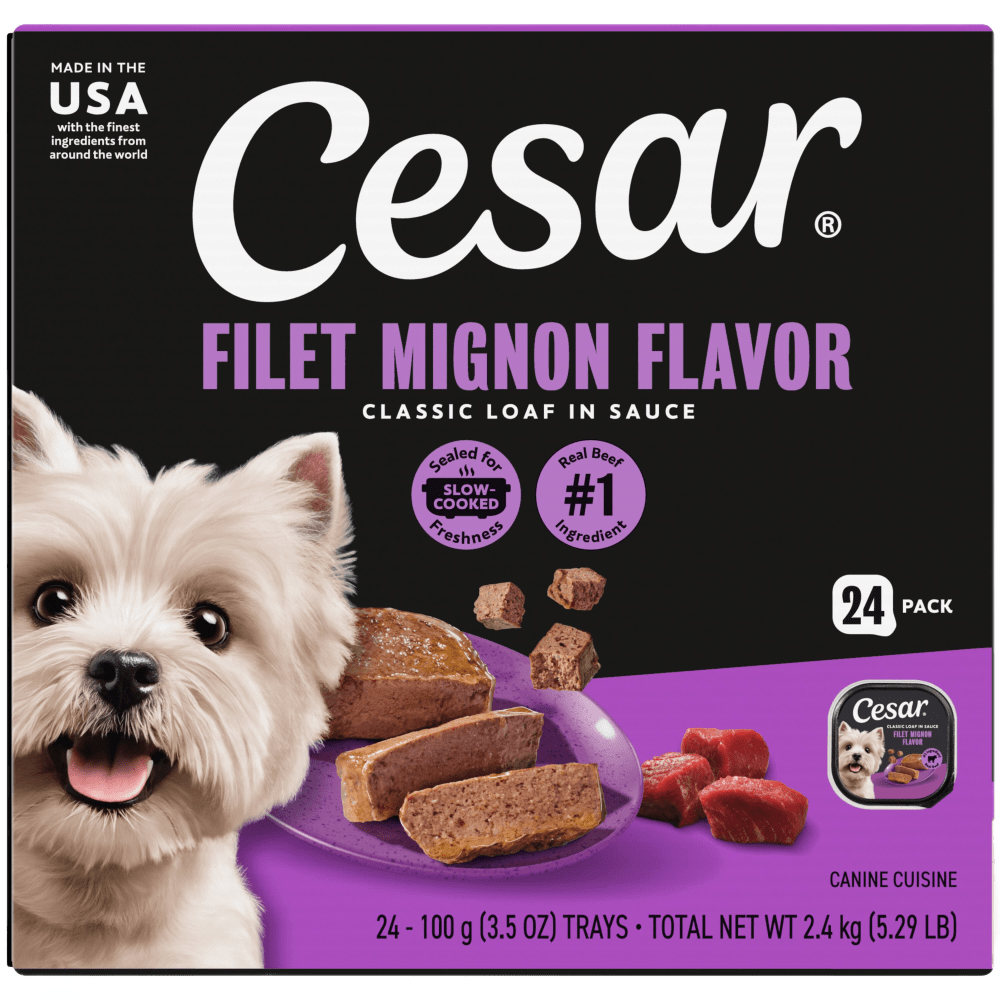 Filet Mignon Flavor 24ct Multipack Dog Food | CESAR®